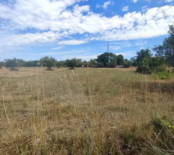 ISTRA, FAŽANA - Poljoprivredno zemljište 1289 m2 - cover