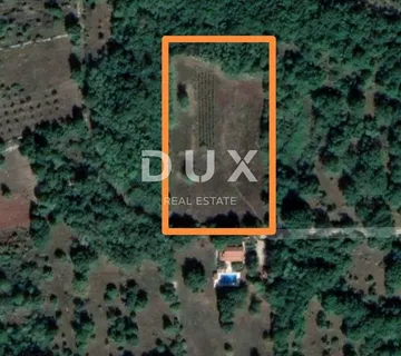 ISTRA, SVETI LOVREČ - Prostrano i očišćeno poljoprivredno zemljište - cover