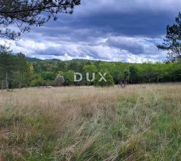 ISTRA, OPARTALJ - Poljoprivredno zemljište u cjelini - cover