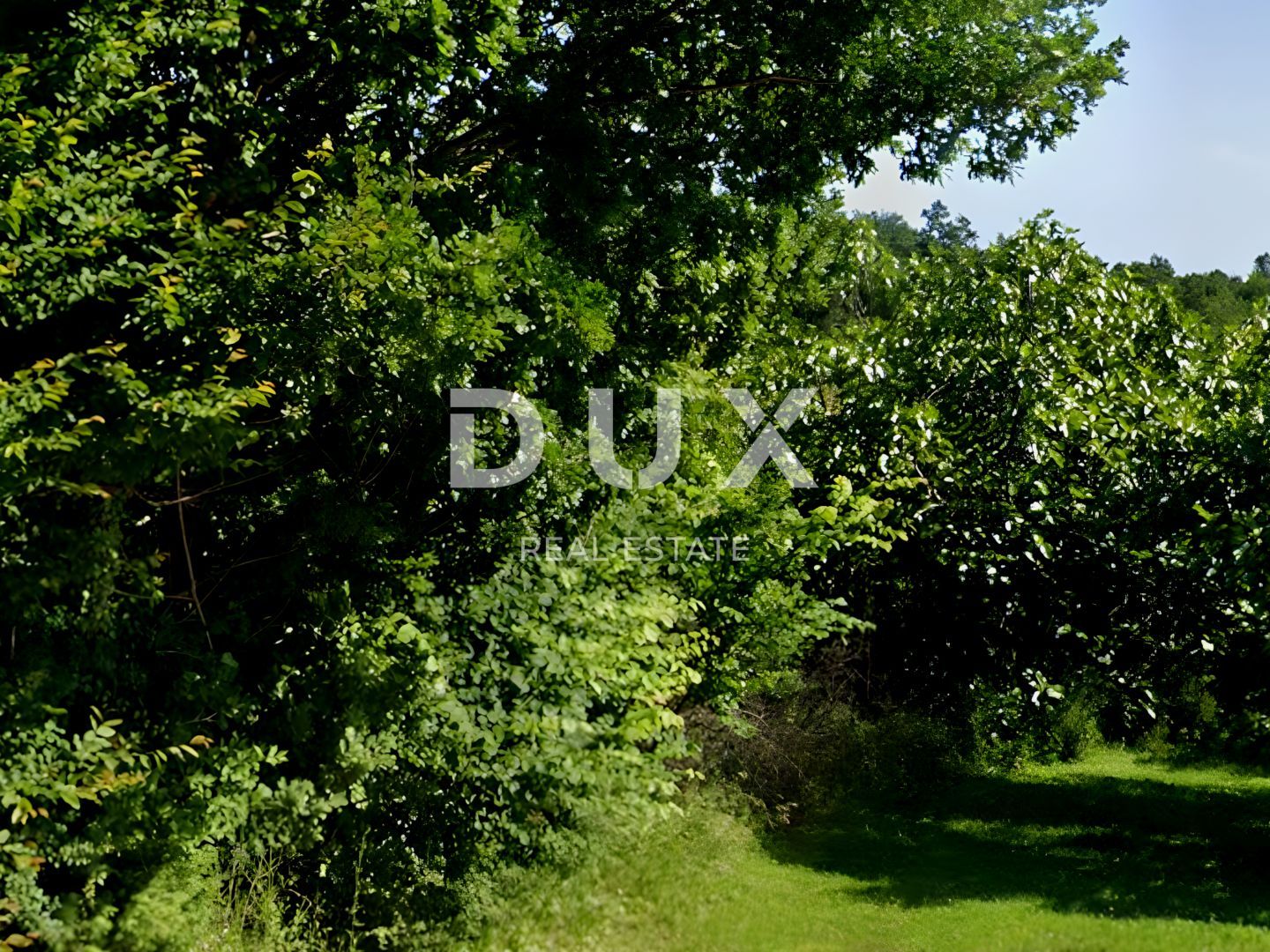Fotografija