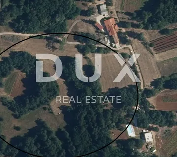 ISTRA, PIĆAN - Građevinsko / poljoprivredno zemljište  - cover