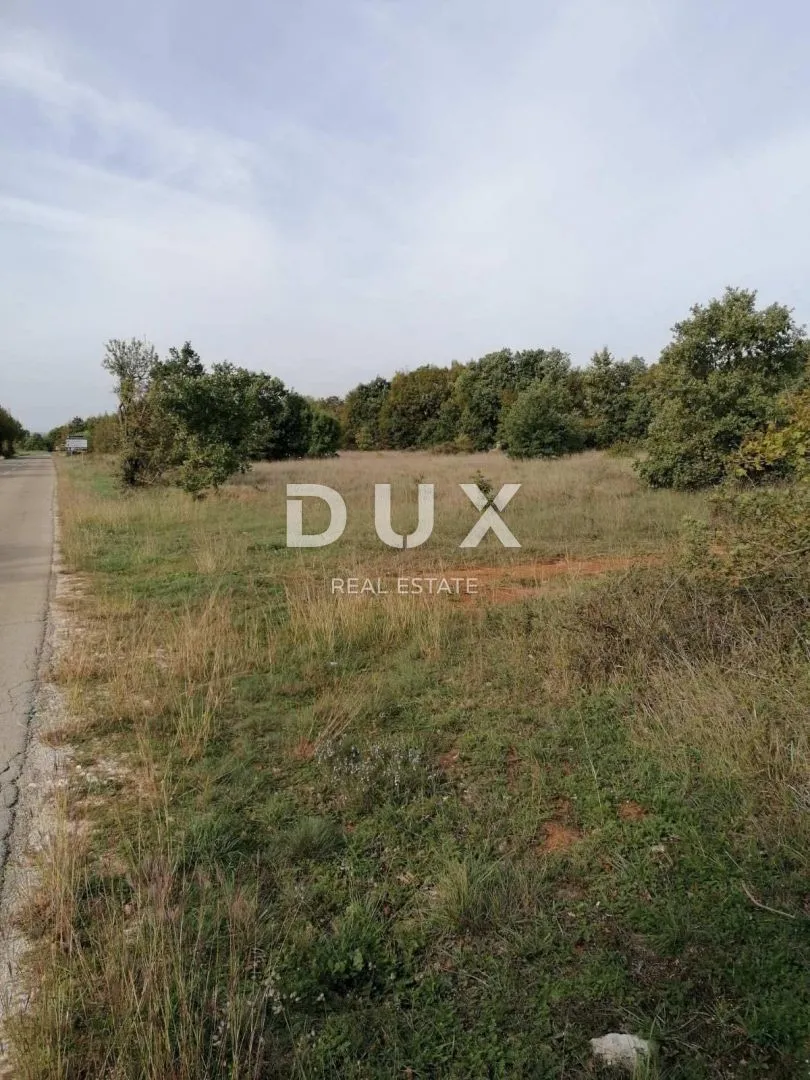 Fotografija