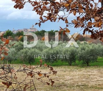 ISTRA, BUJE - Građevinsko zemljište na iznimnoj lokaciji, otvoreni pogled - cover