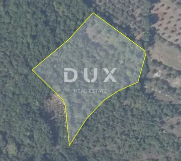 ISTRA, DUGA UVALA - Prostrano poljoprivredno zemljište - cover