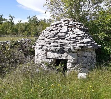 ISTRA, SVETVINČENAT - Poljoprivredno zemljište 24600 m2 - cover