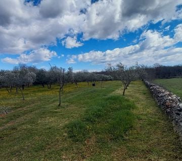 ISTRA, MARČANA - Kombinacija građevinskog i poljoprivrednog zemljišta na mirnoj lokaciji! - cover