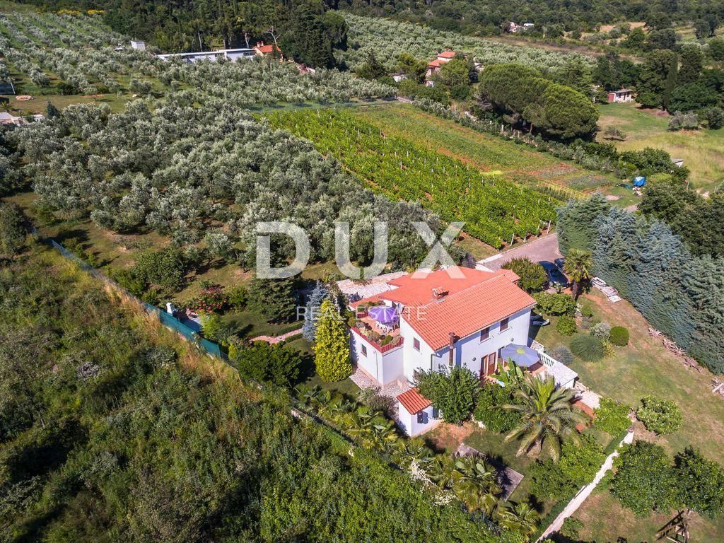 Fotografija