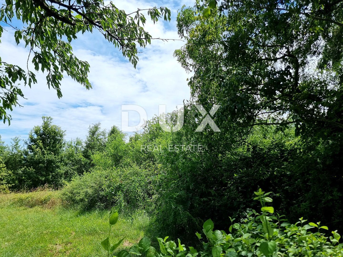Fotografija