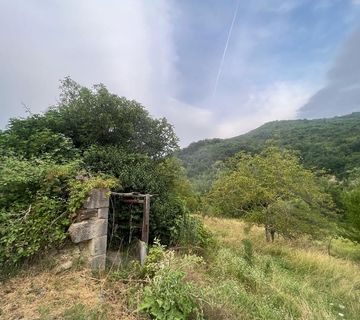 ISTRA, SOVINJAK - RUŠEVINA + ZEMLJIŠTE 57.356 m2 - cover