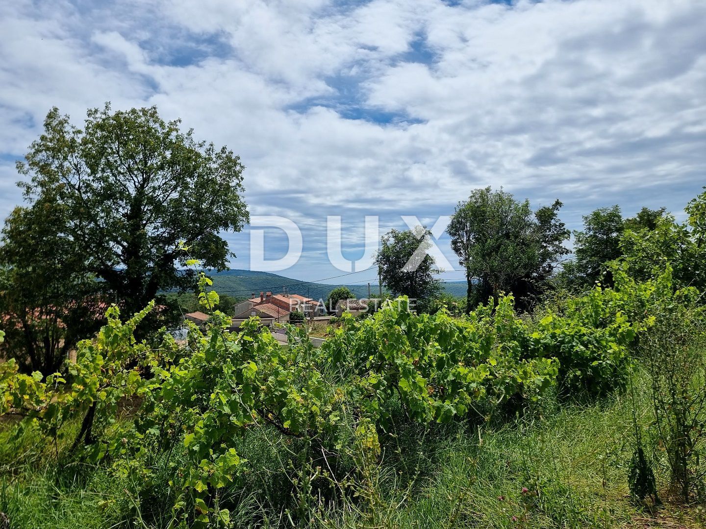 Fotografija