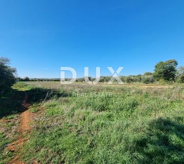 ISTRA, PULA Poljoprivredno zemljište nedaleko od centra grada!  - cover