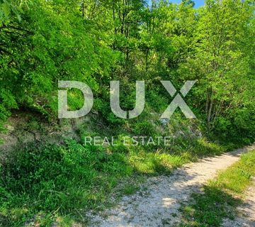 ISTRA, PAZIN - Prostrano poljoprivredno zemljište - cover