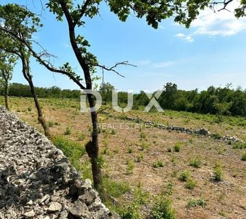 LABIN, SV. LOVREČ, VLAKOVO - građevinski teren 8600m2 za hotel /boutique hotel/ obiteljsku kuću/ villu/ apartmane/ kuću za iznajmljivanje sa bazenom/ kuću za odmor sa bazenom - cover