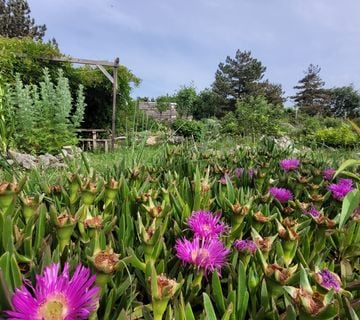 OTOK KRK, PUNAT - Poljoprivredno zemljište sa kućicom i panoramskim pogledom na more! - cover