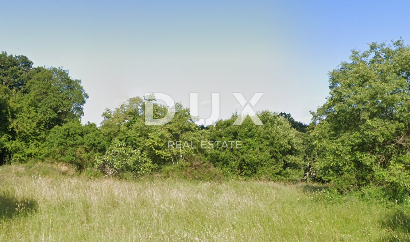 Fotografija