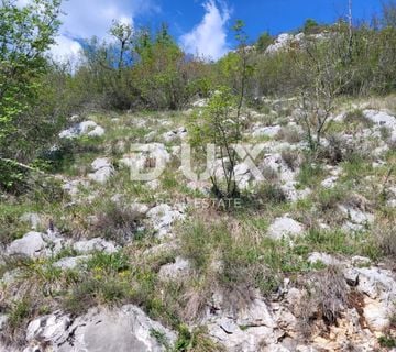 ISTRA, BUZET - Poljoprivredno zemljište - cover