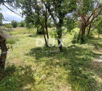 ISTRA,BARBAN (OKOLICA) - Građevinsko zemljište 3 kilometara od mora - cover
