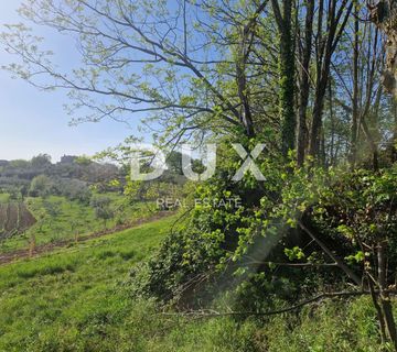 ISTRA, CEROVLJE - Građevinsko zemljište s otvorenim pogledom na zelenilo - cover