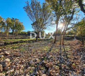 Otok Krk, Šilo -  Očišćeno, ravno poljoprivredno zemljište, buduće građevinsko, 600m do prekrasnih plaža, mora i supermarketa s pristupnim putem ! - cover