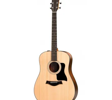 TAYLOR 110e - cover