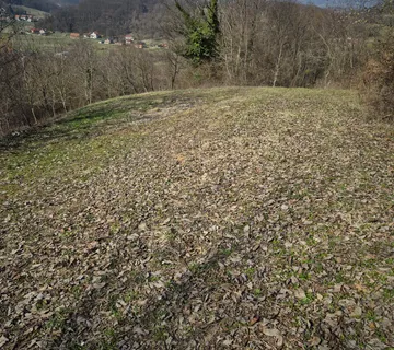 ŠUMA I VOĆNJAK - cover