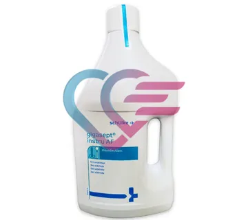 GIGASEPT INSTRU AF 2l - cover