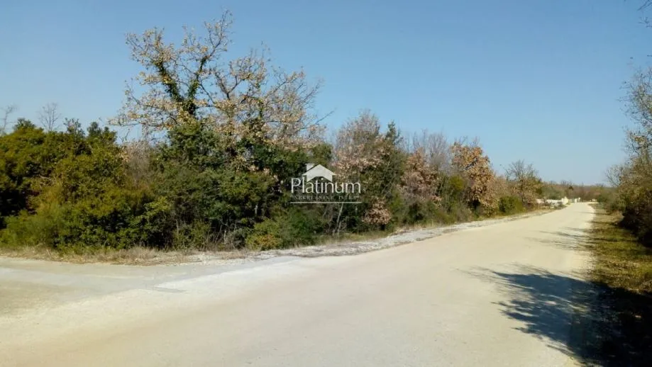 Fotografija