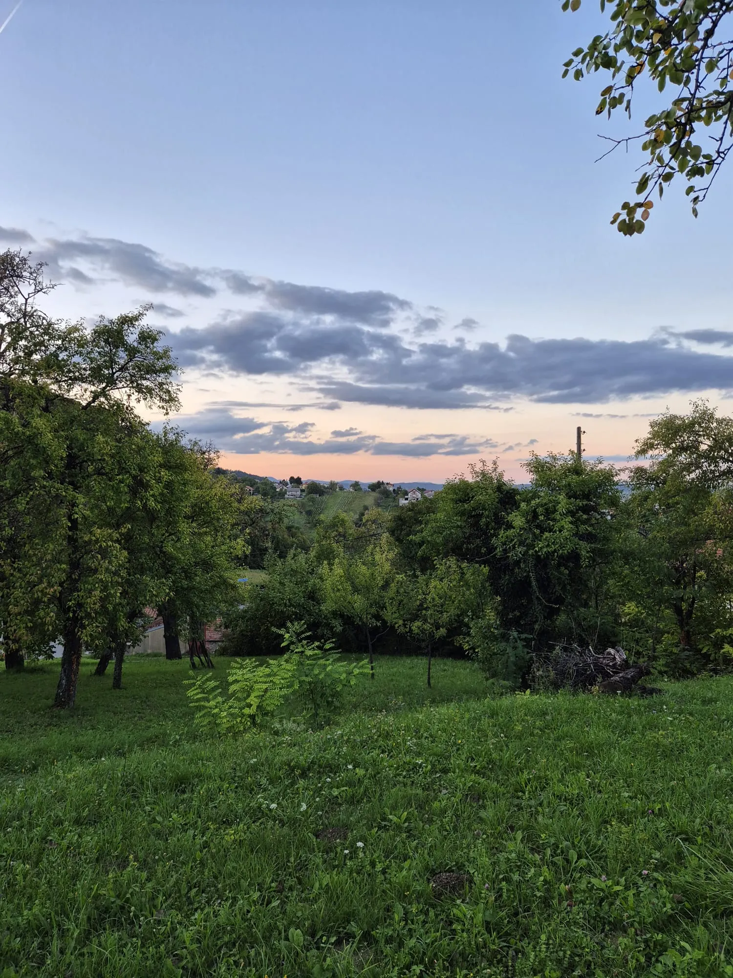 Fotografija