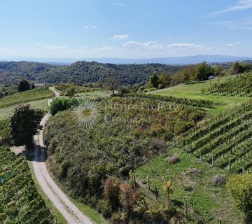 Osamljeno zemljište od 800 m² s prekrasnim pogledom na šumu i vinograde - cover