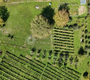 Pogled na vinograde i blaženstvo voćnjaka: Gradnja na 1,870 m² u slikovitoj Vivodini - cover