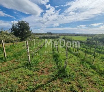 Poljoprivredno zemljište,maslinik,vinograd,6700m2 - cover