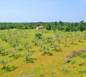 Poreč, Prostrano imanje 1000m od mora - cover