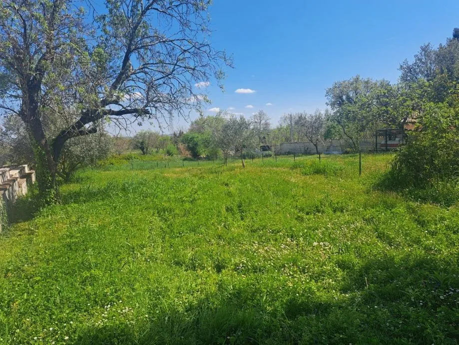 TAR-GRAĐEVINSKO ZEMLJIŠTE NA PRODAJI - cover