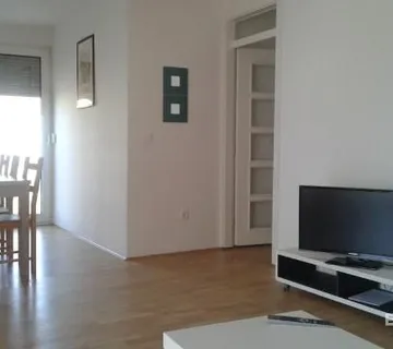 PRIVLAKA – Namješten apartman u prizemlju s velikim vrtom, 90 m od mora!!