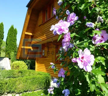 Kuća prodaja - investicija - odmor - PRILIKA - Ivanec