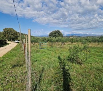 Građevinsko zemljište PRODAJA Donja Jagodnja, 500 m2 - cover