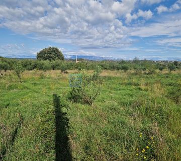 Građevinsko zemljište PRODAJA Donja Jagodnja, 500 m2 - cover