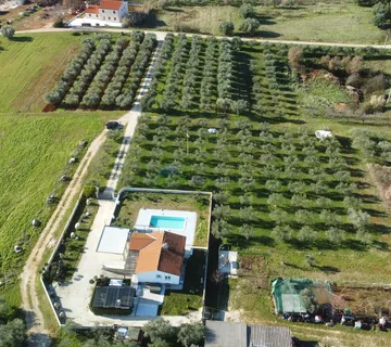 Istra, Višnjan, vila sa prekrasnim maslinikom - cover