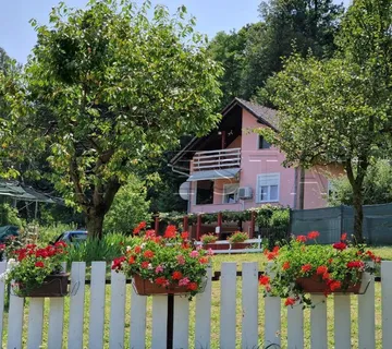 KUĆA SA DVA STANA, UKUPNE POVRŠINE 200 m2, NA MIRNOJ LOKACIJI U PRIRODI - cover