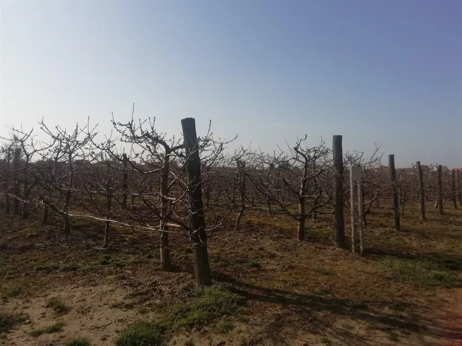 Gornji Kneginec: poljoprivredno zemljište, građevinska zona površine 6 - cover