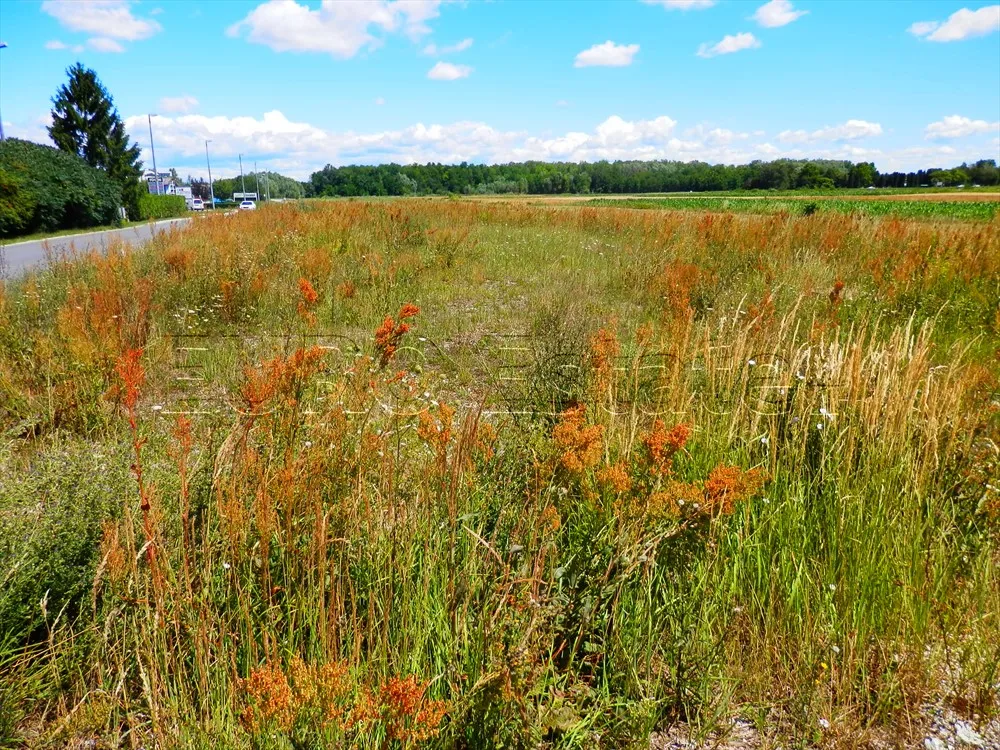 Varaždin: građevinsko zemljište, komercijalna namjena, 5420 m2 - cover