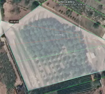 Vinica Breg: zemljište s idiličnim pogledom i terasama na prodaju, 6495 m2 - cover
