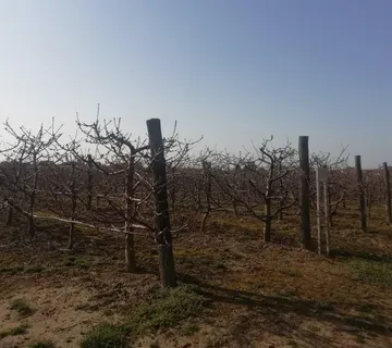 Gornji Kneginec: poljoprivredno zemljište, građevinska zona površine 6738 m2