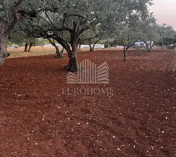 TURANJ-Građevinsko zemljište 731 m²+ pristupni put - Turanj, Sveti Filip i Jakov