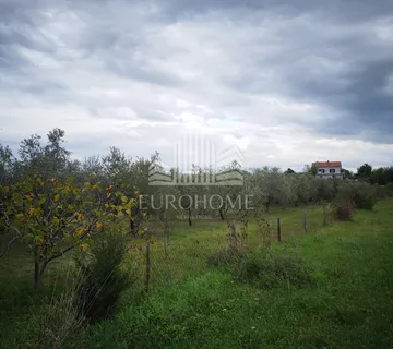 Građevinsko zemljište Murvica Gornja, 550m2 PRILIKA - Murvica, Poličnik
