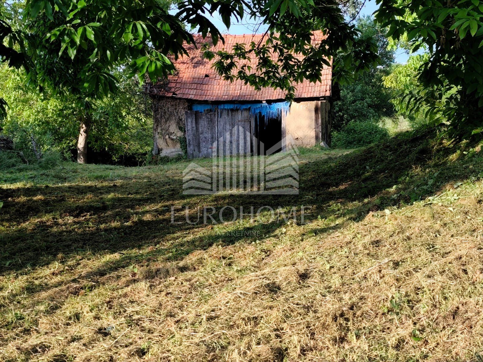Fotografija