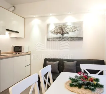 Garsonijera 27 m², Črnomerec, investicija. - cover