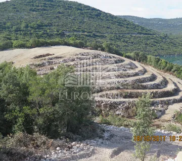 Poljoprivredno zemljište 28.000 m2,Mali Ston - cover