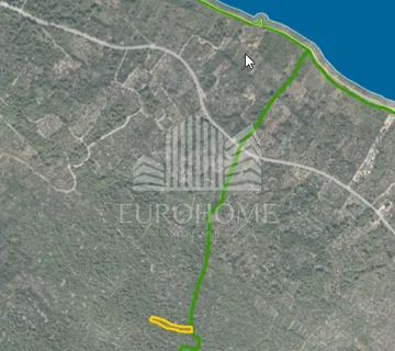 Pašman, Banj stari maslinik 45€ m2 - Banj, Pašman