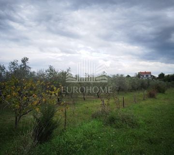 Građevinsko zemljište Murvica Gornja, 550m2 PRILIKA - cover